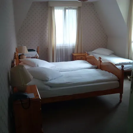 Hotel De La Paix Interlaken