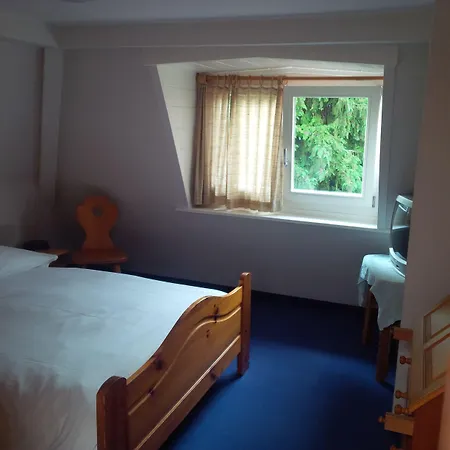 Hotel De La Paix Interlaken