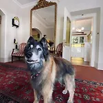 Ξενοδοχείο De La Paix 3*